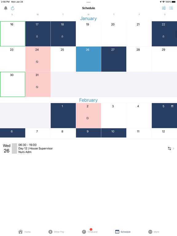 JBDev Mobile iPad screenshot 4 - Business app