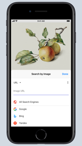 Search by Image for Safari screenshot