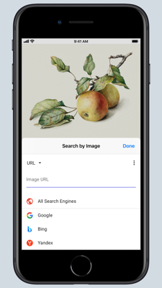 Search by Image for Safari screenshot 5