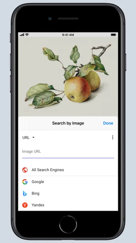 Search by Image for Safari screenshot 5 of 6