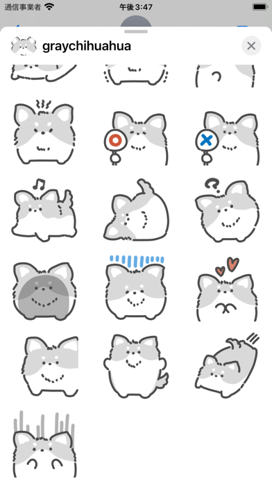 gray chihuahua sticker Screenshot