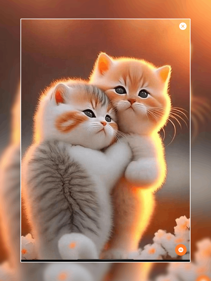 Cute Animals HD Wallpapers