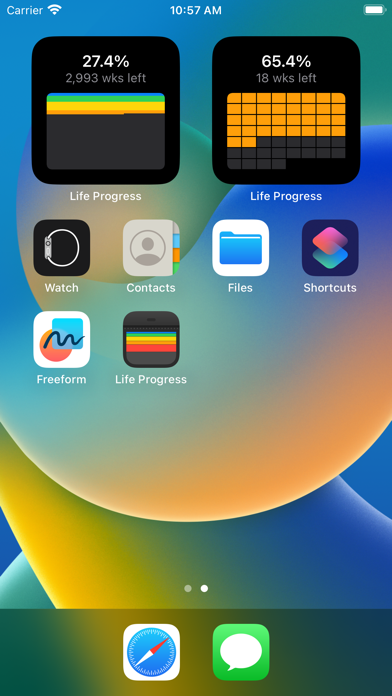 Life Progress - Life Calendar Screenshot