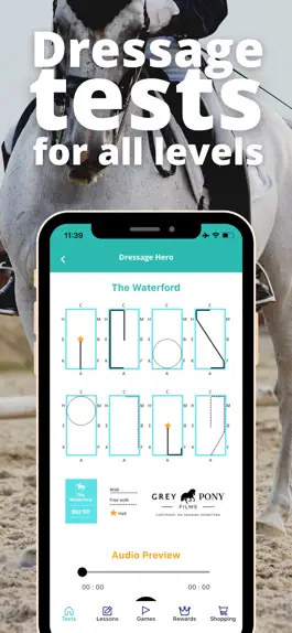 Game screenshot Dressage Hero Horse Riding mod apk