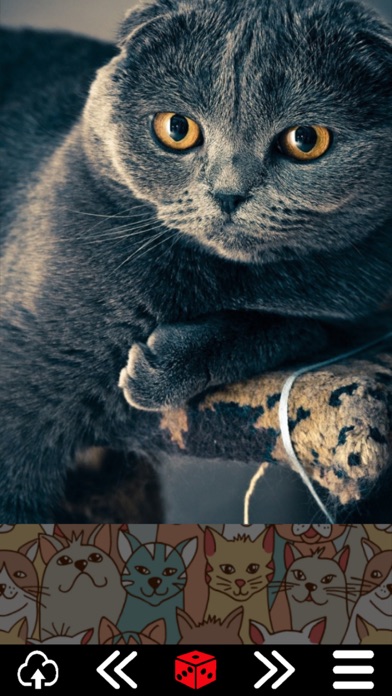 Cat.alogue Screenshot