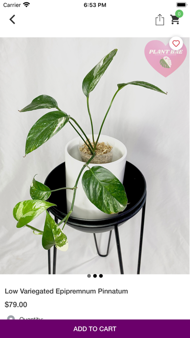 Plant Bae TX Screenshot