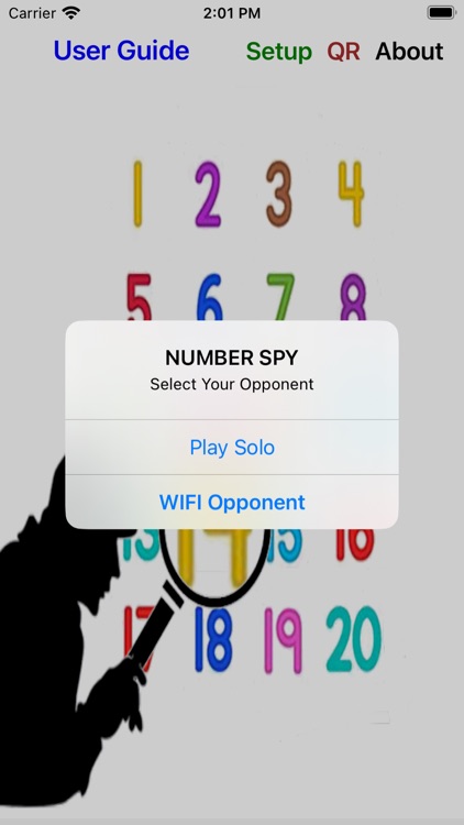 Number Spy