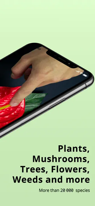 Plantion : capture d’écran 2 sur 6