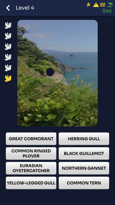 Bird Melody - Birds of Europe Screenshot