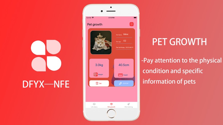DFYX-NFE