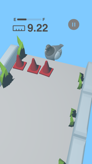 Pigeon Rwy Screenshot