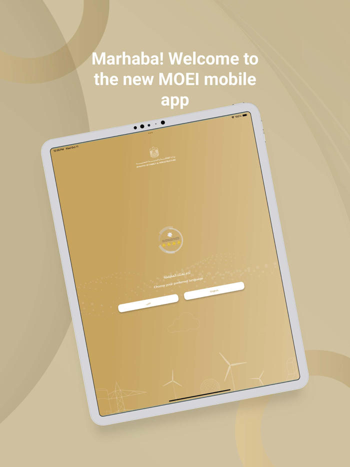 Ministry of Energy and Infra