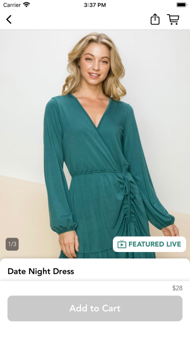 Southern Fashionista Screenshot