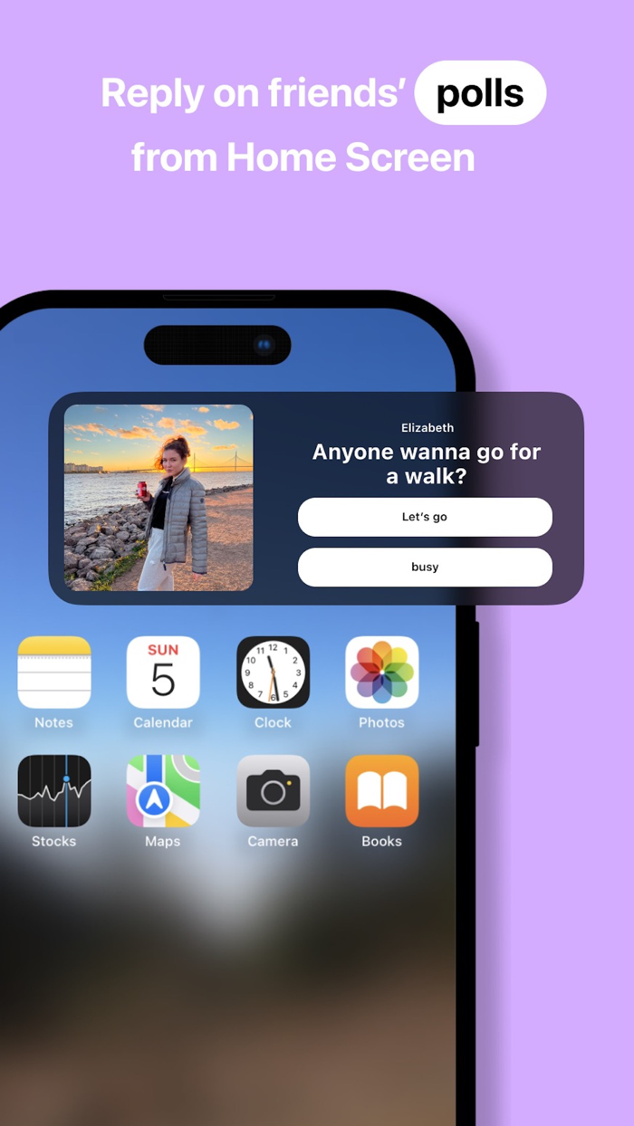 PinPoll - Polls on Home Screen