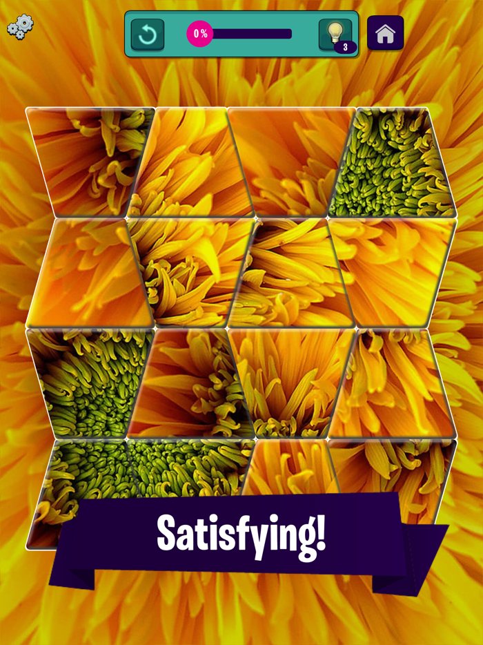 Jigsorts Magic Jigsaw Puzzles