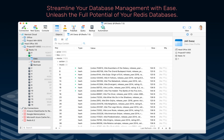 Navicat 16 for Redis - 16.3.7 - (macOS)