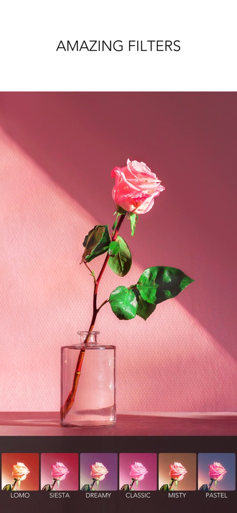 Rookie Cam - Photo Editor - Explore uma vasta seleção de filtros coloridos e prévias de predefinições de estilo, permitindo que cada imagem adquira uma atmosfera e tonalidade únicas com facilidade.