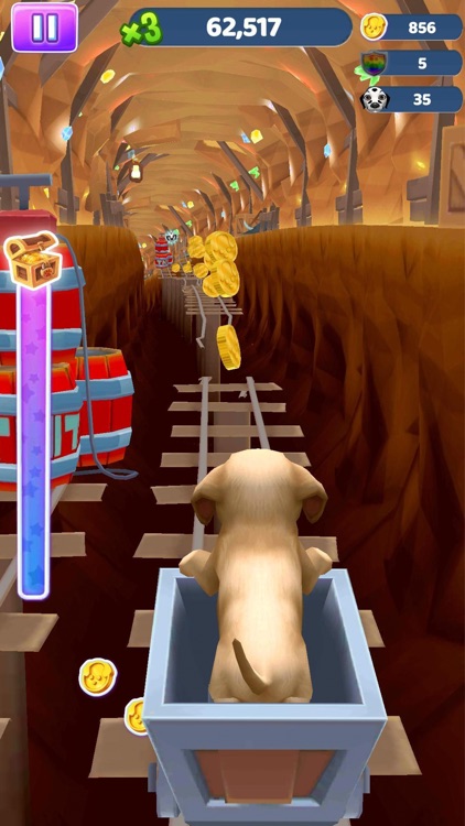 Pet Run - Puppy Dog Run Game