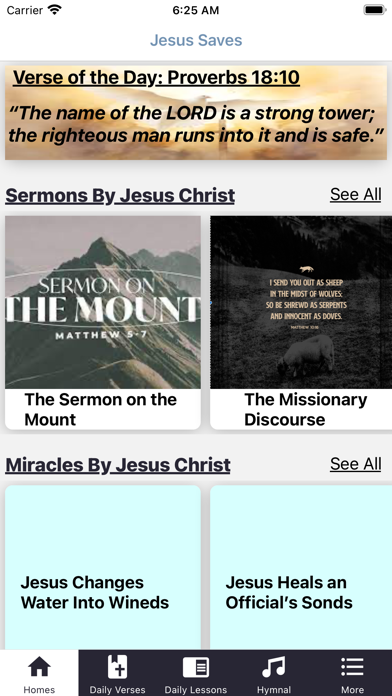 Bible Study Daily Screenshot