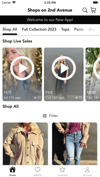 Shops on 2nd Avenue Screenshot