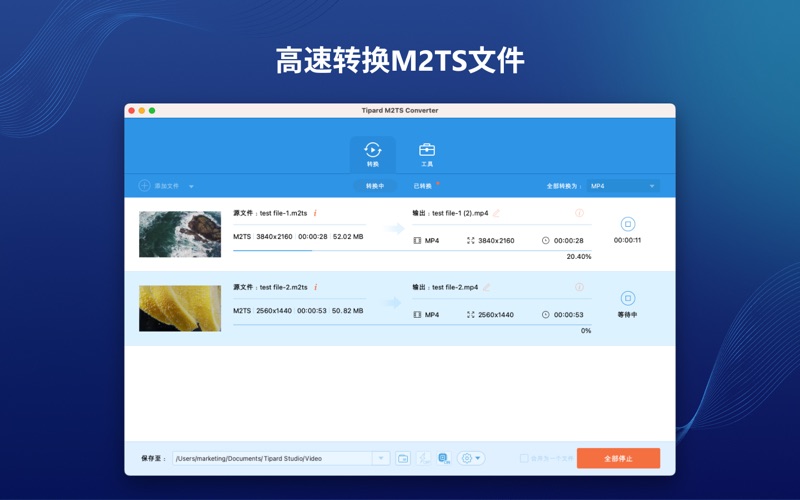 Tipard M2TS转换器