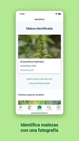 Game screenshot ZAMID apk