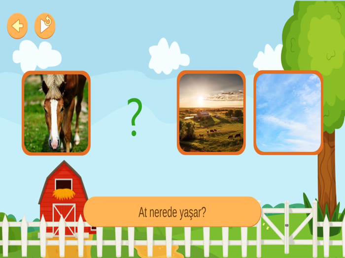 Hayvanları Öğreniyorum 4 Yaş