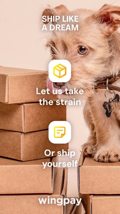 wingpay screenshot-3