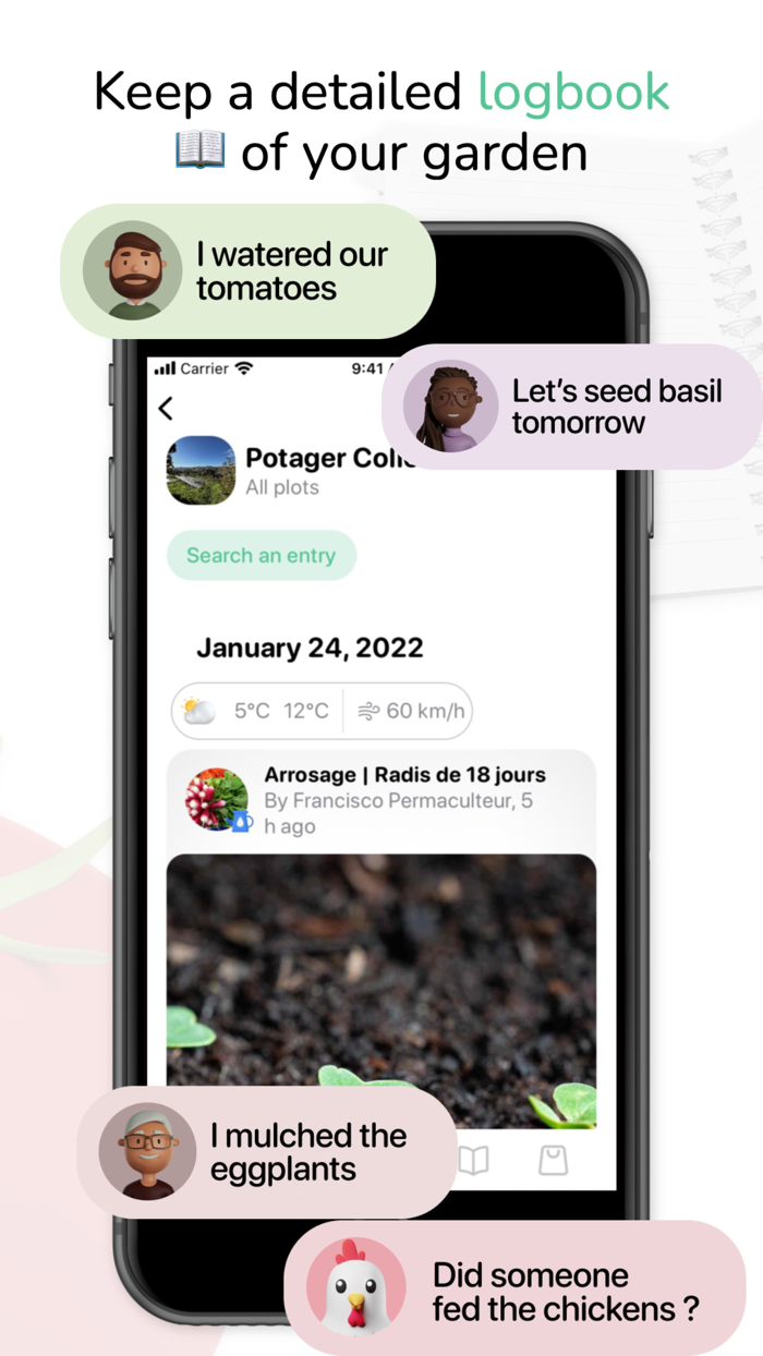 Tomate and Basilic- Permaculture