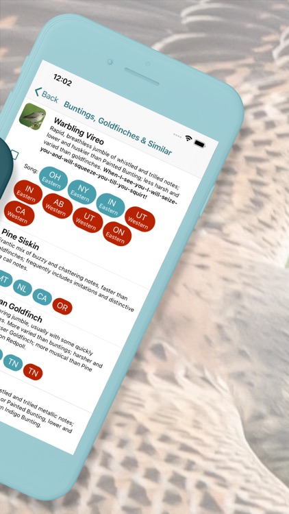 Learn Bird Watching—Larkwire screenshot-5