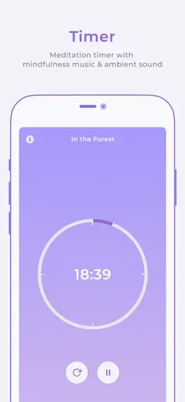 Game screenshot Zenify - Meditation Timer apk
