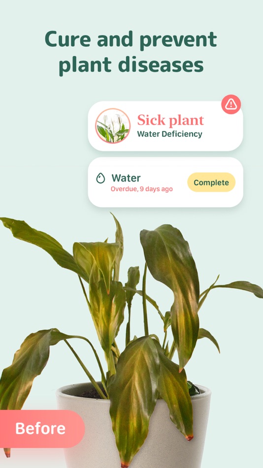 Blossom - Plant Care Guide - 2.61.13 - (iOS)