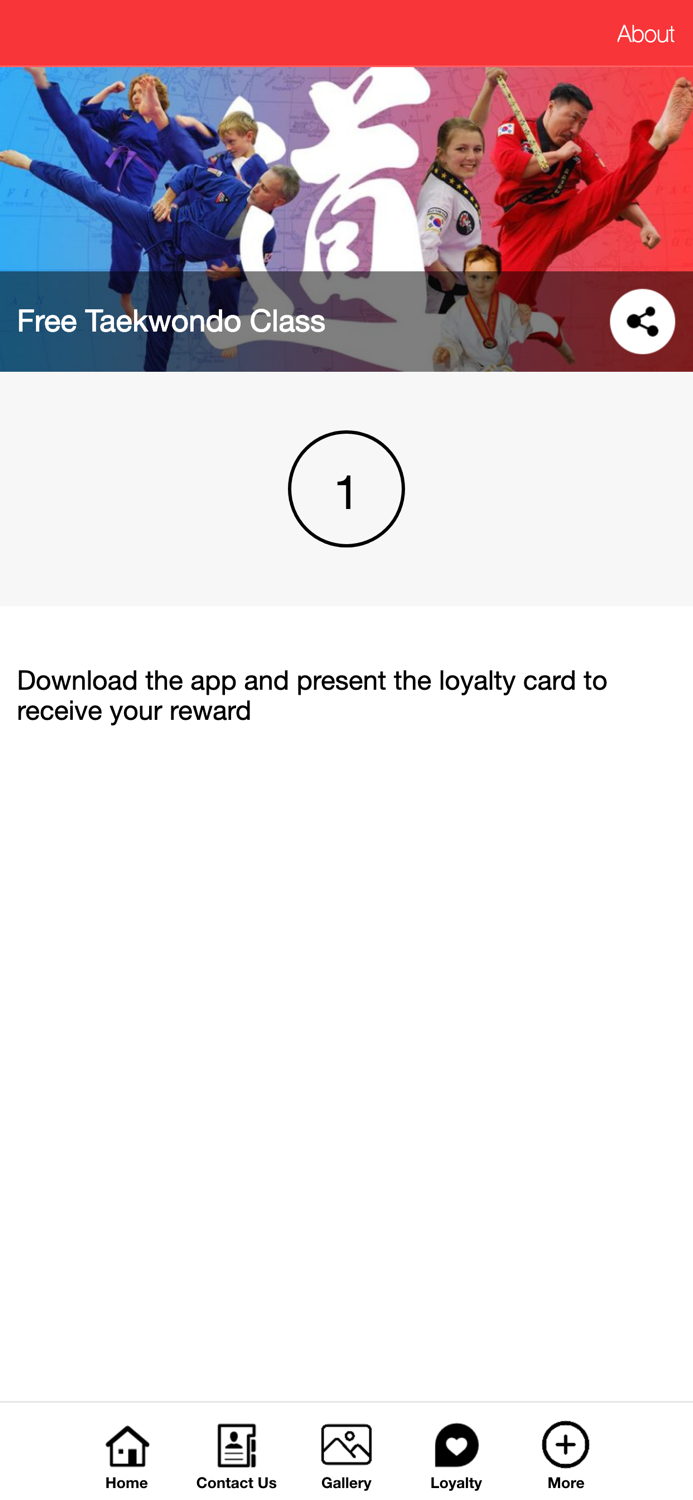 Elite Taekwondo Martial Arts