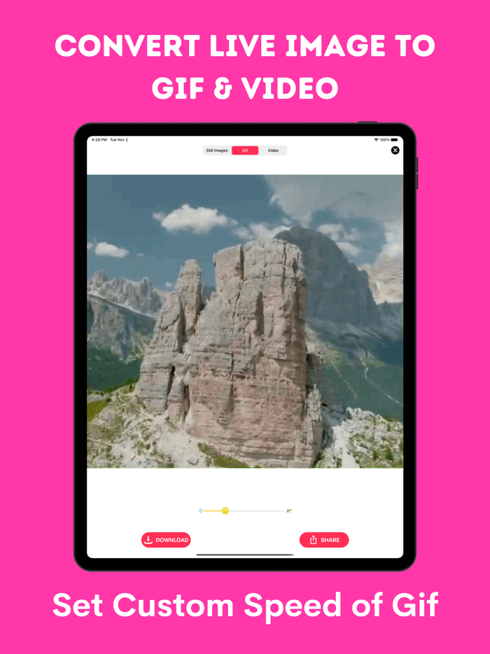 Live Photo Converter