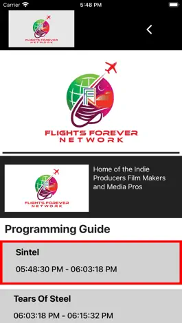 Game screenshot Flights Forever Network hack