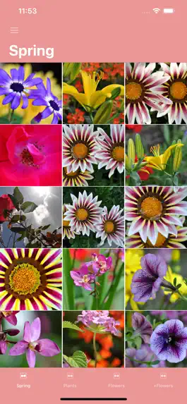 Game screenshot PicFlowers: Flowers Images App mod apk