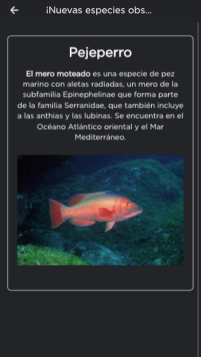 Miralmar Screenshot