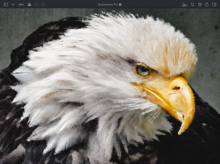 Brushstroke Pro for iPad screenshot-6