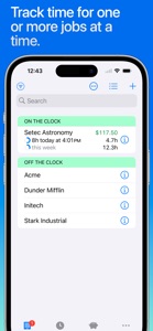 Hours Tracker: Time Tracking screenshot #5 for iPhone