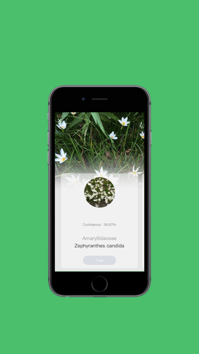 FlowerMate Screenshot