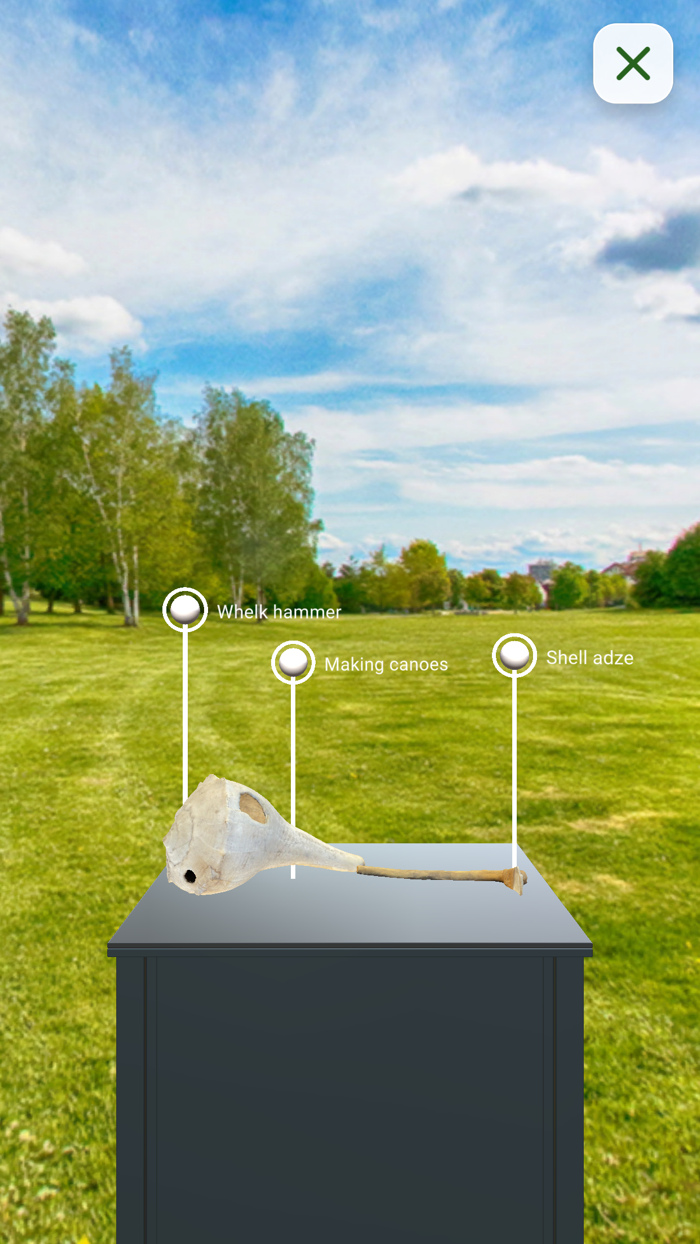 Trekking Through Time