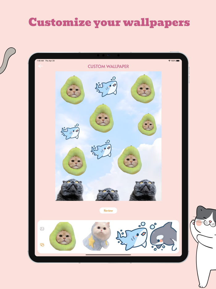 Meow Wallpapers