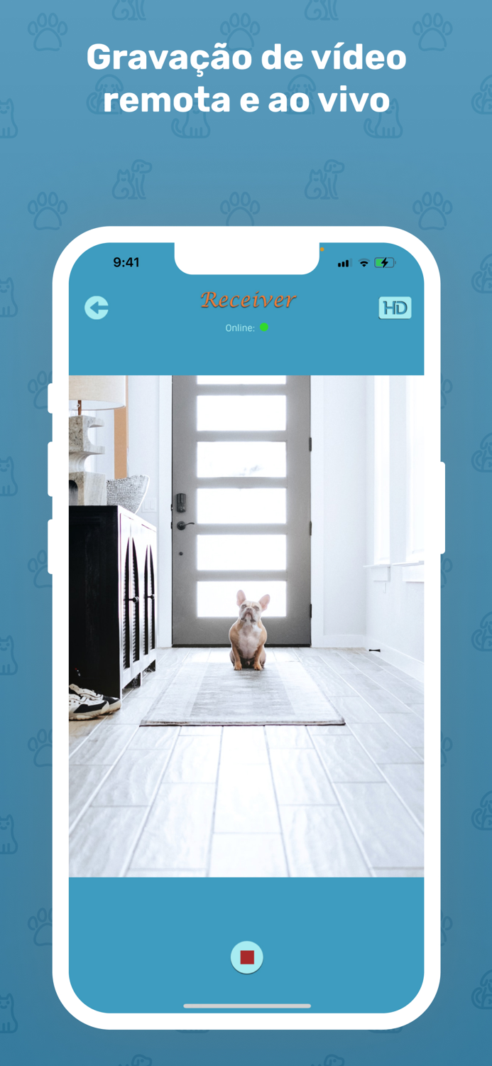 WhatsPet App Câmera para Cães