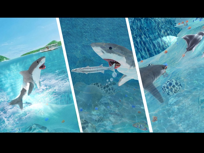 Hungry Shark Attack Simulator