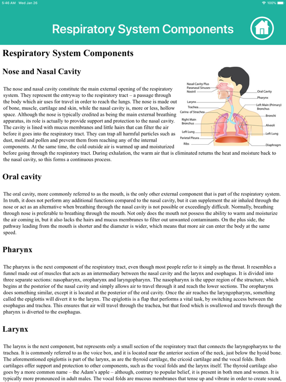 Anatomy : Respiratory Systemのおすすめ画像7
