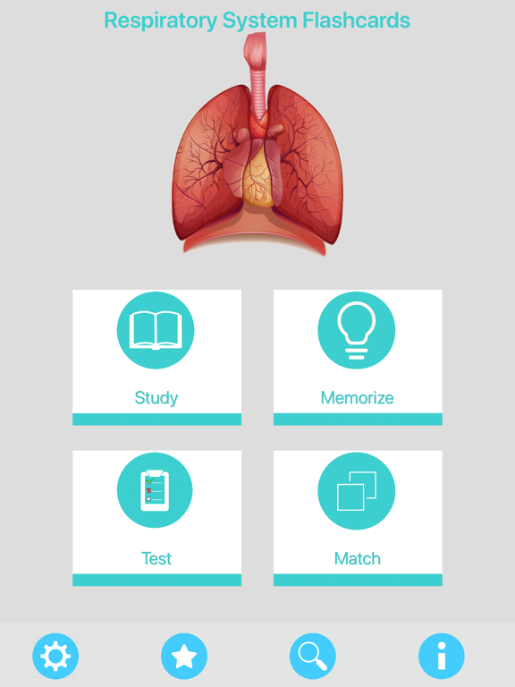 Screenshot #4 pour Respiratory System Flashcards