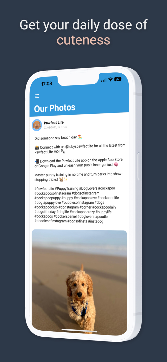 Pawfect Life - Puppy Training