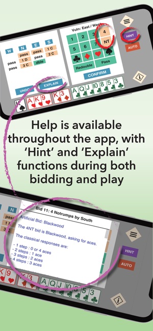 Bridge Ace - now PLAY LIVE!  App Price Intelligence by Qonversion