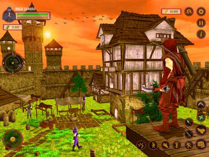 Ninja Assassin Stealth Master