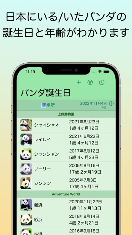 パンダ誕生日